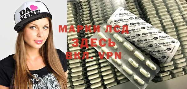 apvp Алзамай