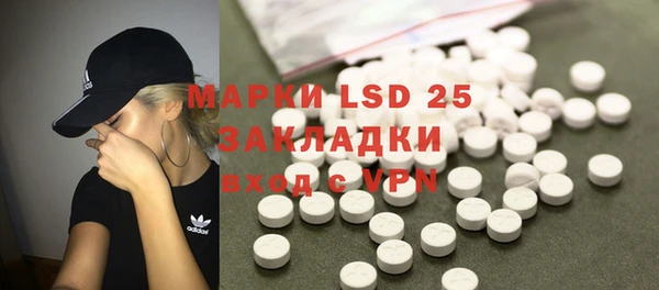 apvp Алзамай