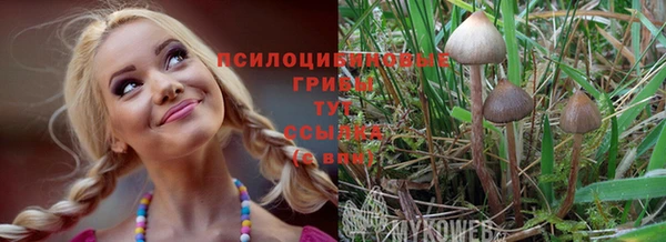 а пвп мука Алексеевка