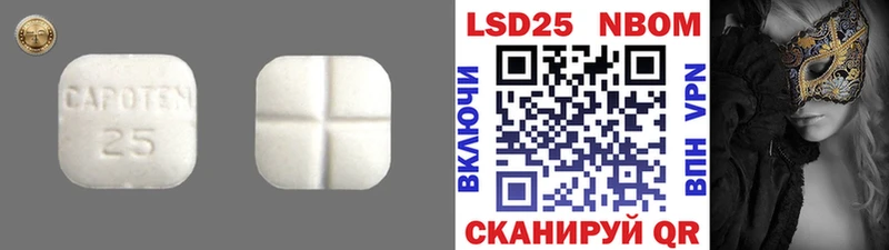 как найти наркотики  Дорогобуж  Лсд 25 экстази ecstasy 